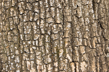 Similar image 639801