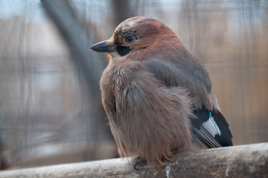 Similar image 639802