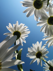 Similar image 639807