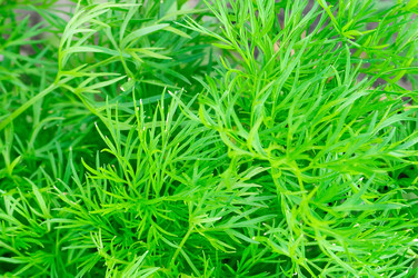 Similar image 639811