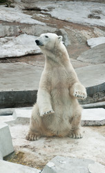 Similar image 639816