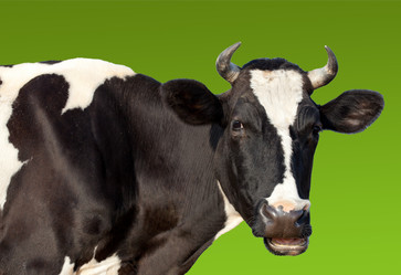 Similar image 639823