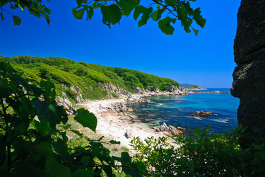 Similar image 639825