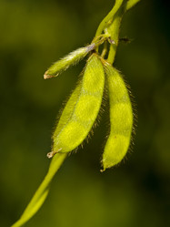 Similar image 639830