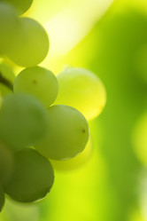 Similar image 639840