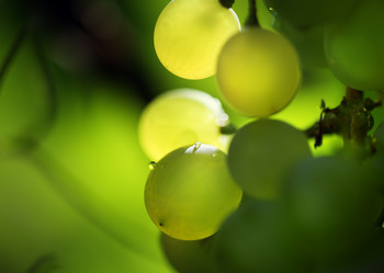 Similar image 639845