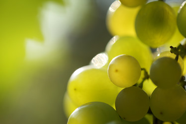 Similar image 639846