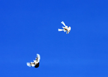 Similar image 639848