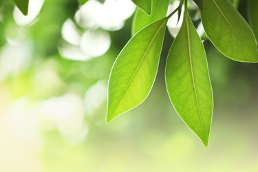 Similar image 639852