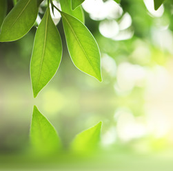 Similar image 639854