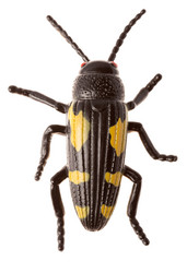 Similar image 639855