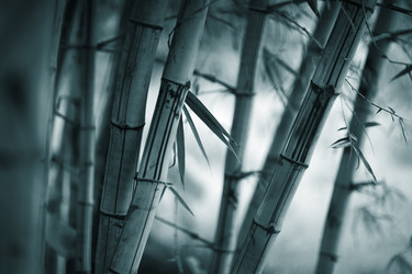 Similar image 639890