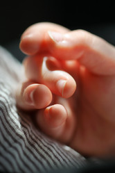 Similar image 639898