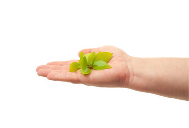 Similar image 639901