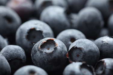 Similar image 639904