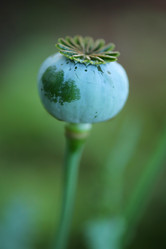 Similar image 639908