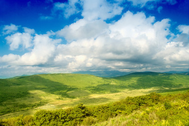 Similar image 639926