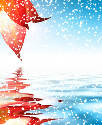 Similar image 639931