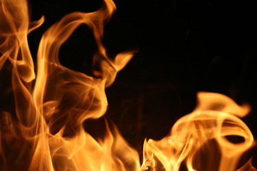 Similar image 639932