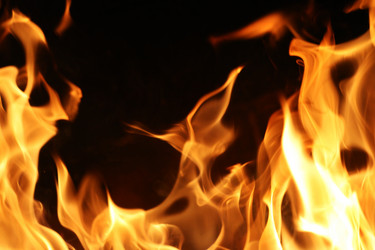 Similar image 639935