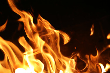 Similar image 639936