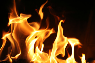 Similar image 639937