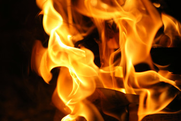 Similar image 639938