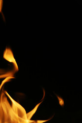 Similar image 639940