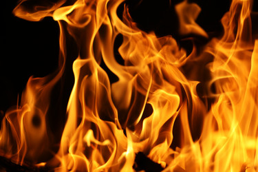 Similar image 639942