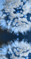 Similar image 639944