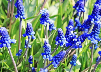 Similar image 639948