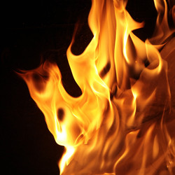 Similar image 639966