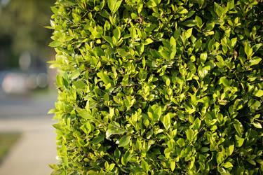 Similar image 639977