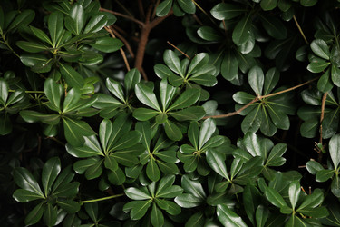 Similar image 640003