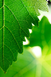 Similar image 640004