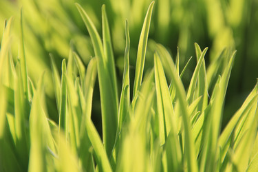 Similar image 640006