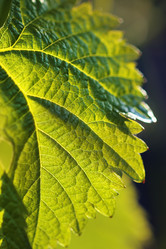 Similar image 640007