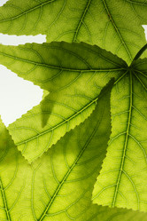 Similar image 640008