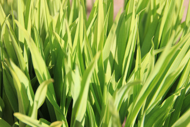 Similar image 640009