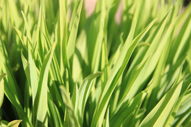 Similar image 640014