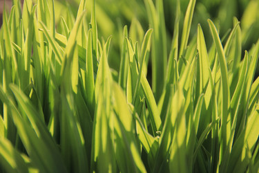 Similar image 640015