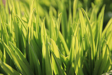 Similar image 640020