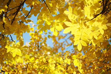 Similar image 640047