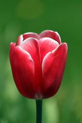 Similar image 640057