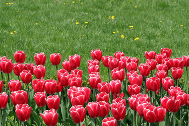 Similar image 640058