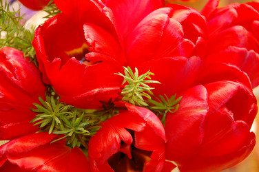 Similar image 640060