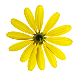 Similar image 640061