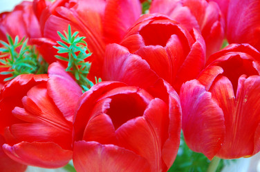 Similar image 640062