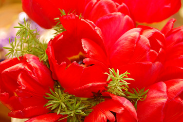 Similar image 640063