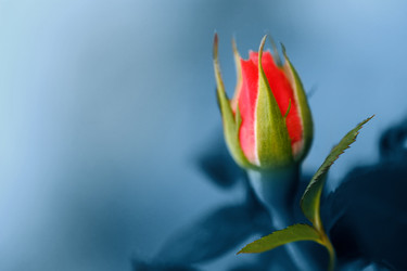 Similar image 640067